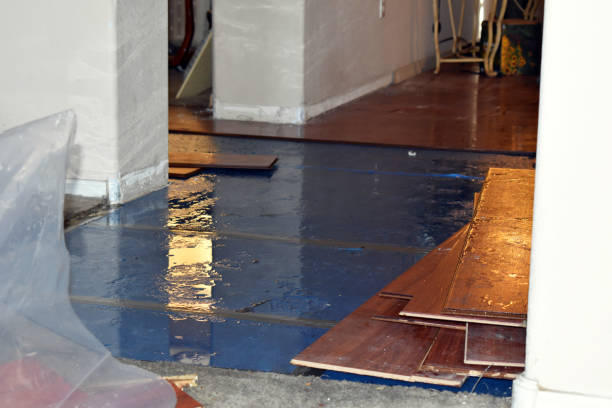 Professional Burst Pipe Cleanup technician working in Batesville, TX