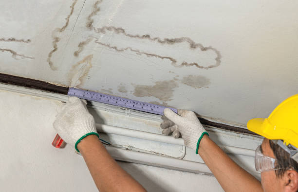 Reliable Burst Pipe Cleanup contractor in Batesville, TX by Water Damage Irwin